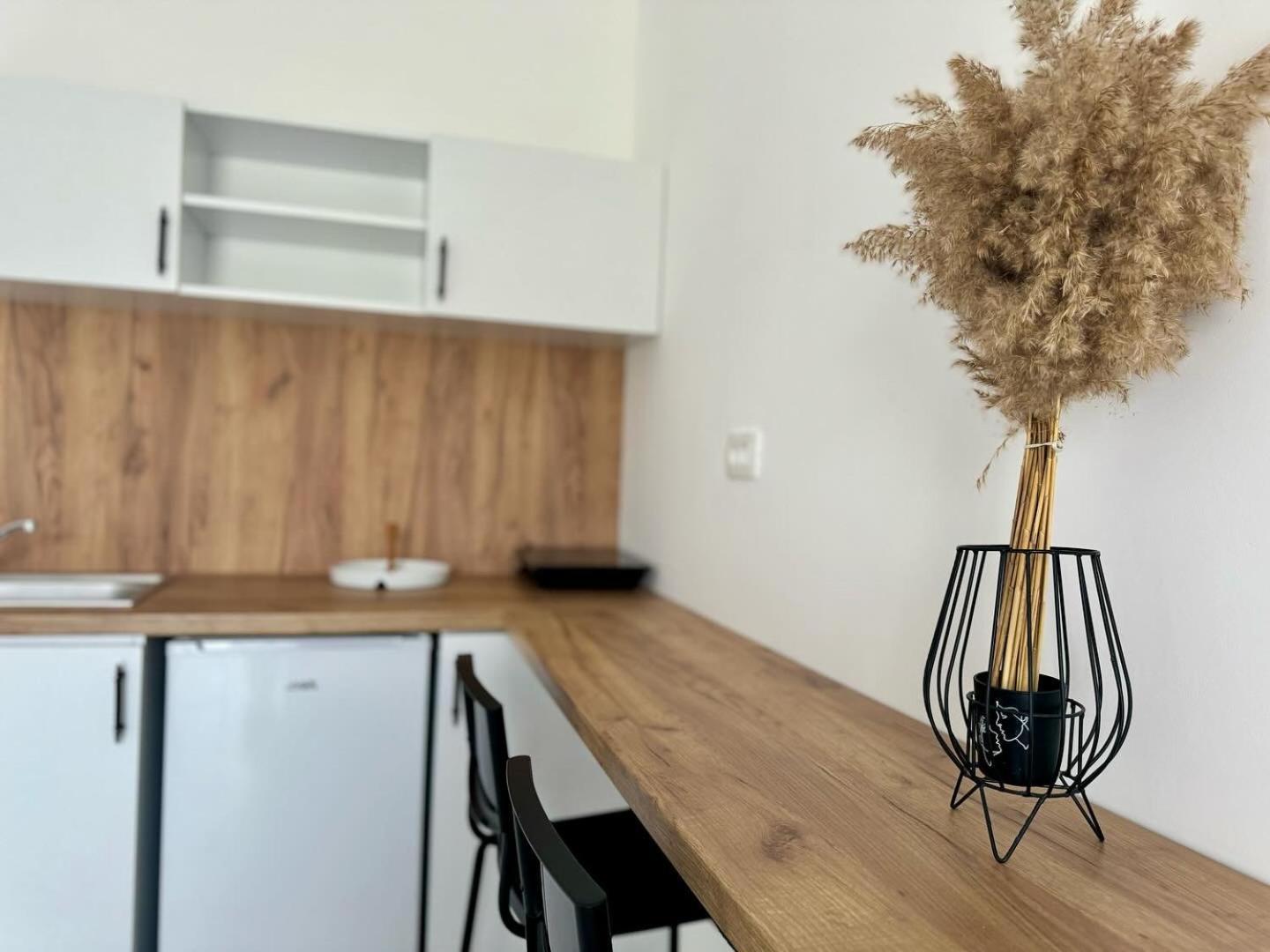 Apartmani Asovic Будва Екстер'єр фото